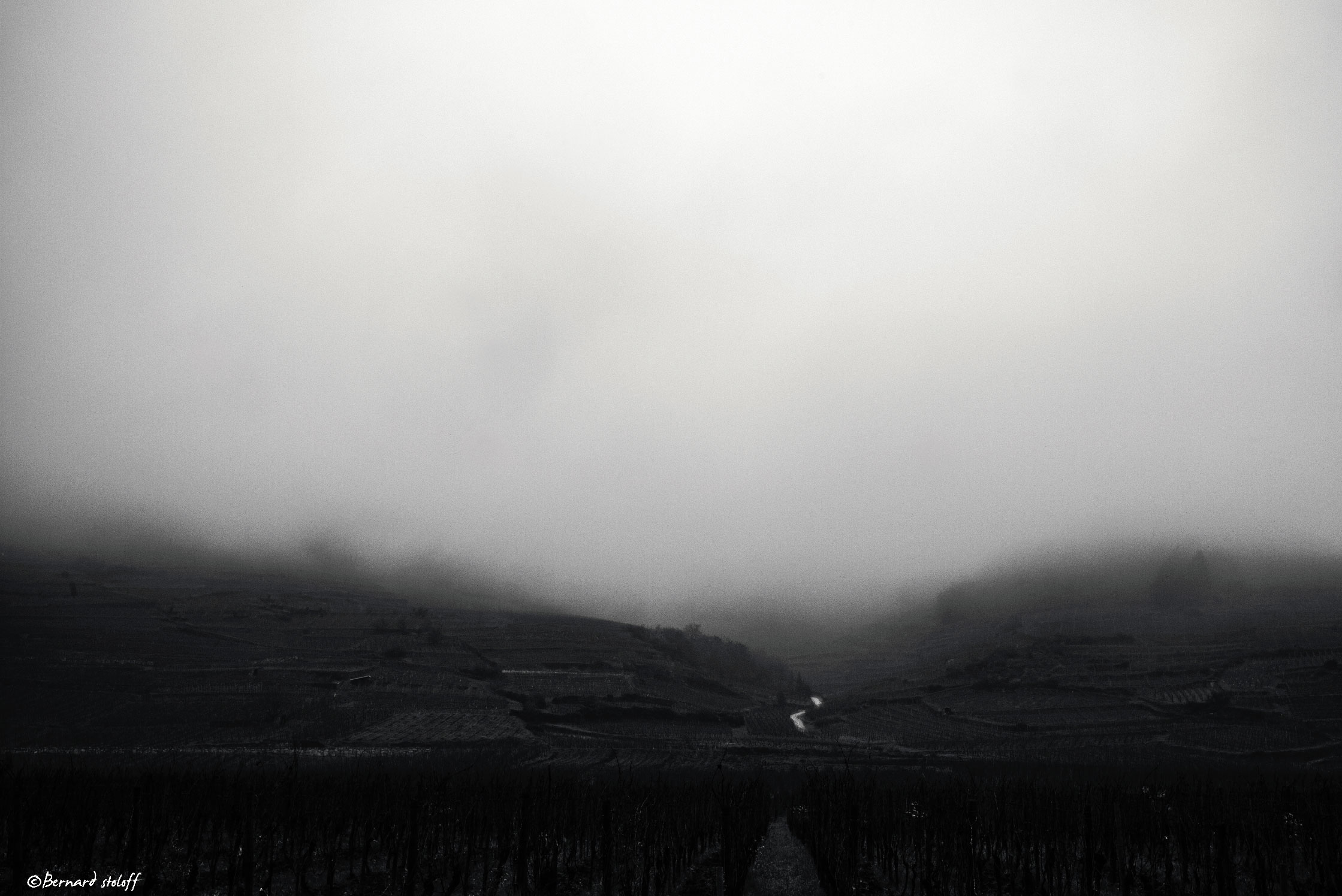photographier le chemin