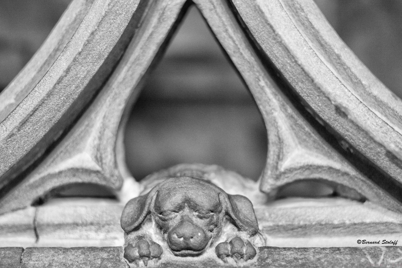 photographie la pensée, penser la photographieLA CATHEDRALE DE STRASBOURG MILLENAIRE-DÉTAIL-LE CHIEN DU PRÊCHEUR