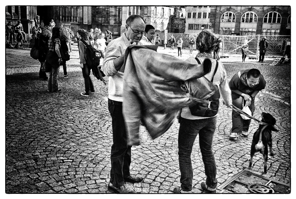 le chien et le touriste devant la cathédrale de strasbourg millénaire