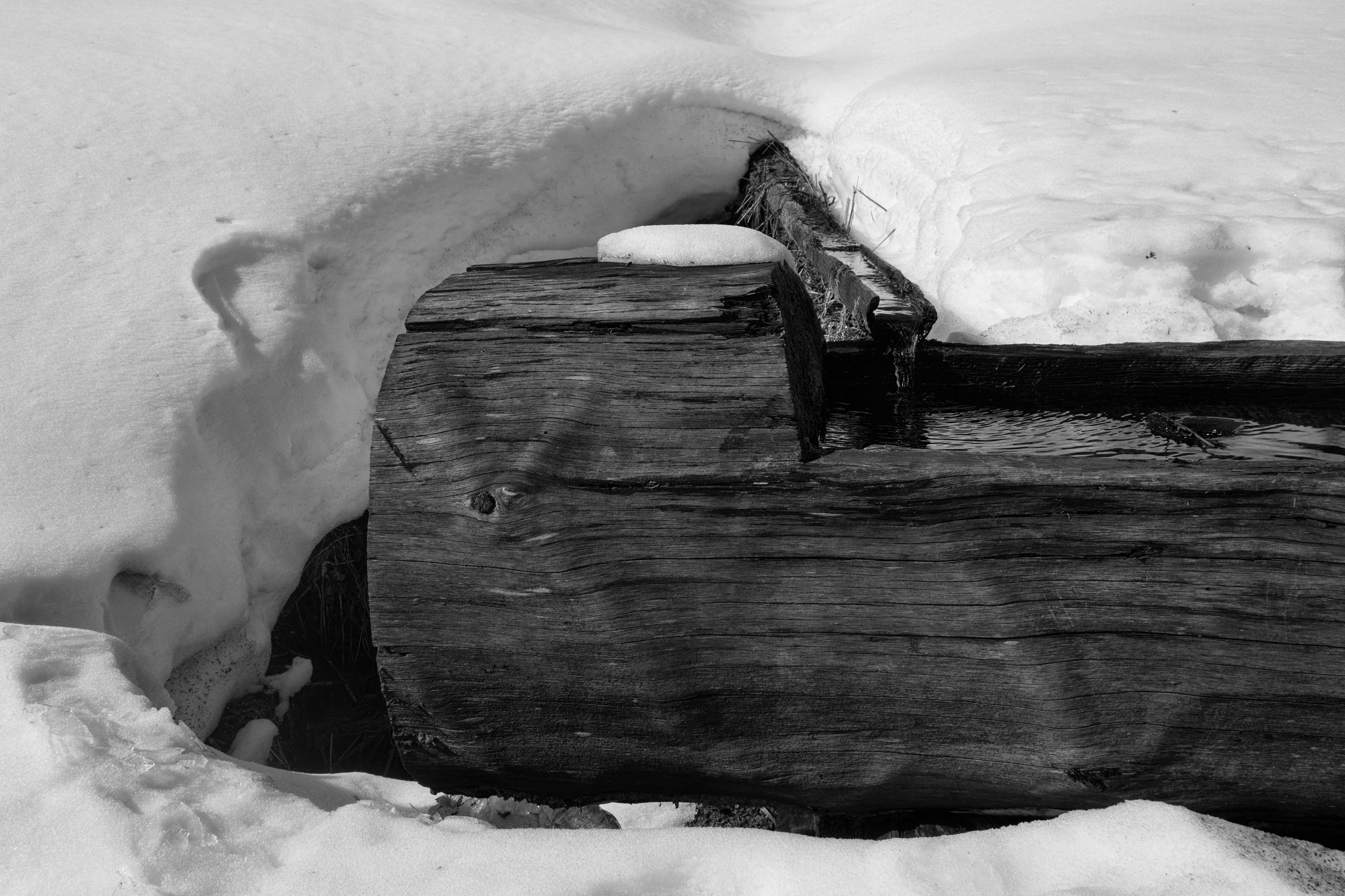 LA FONATAINE DANS LA NEIGE, HINTERZARTN, FORÊT NOIRE, ALLEMAGNE