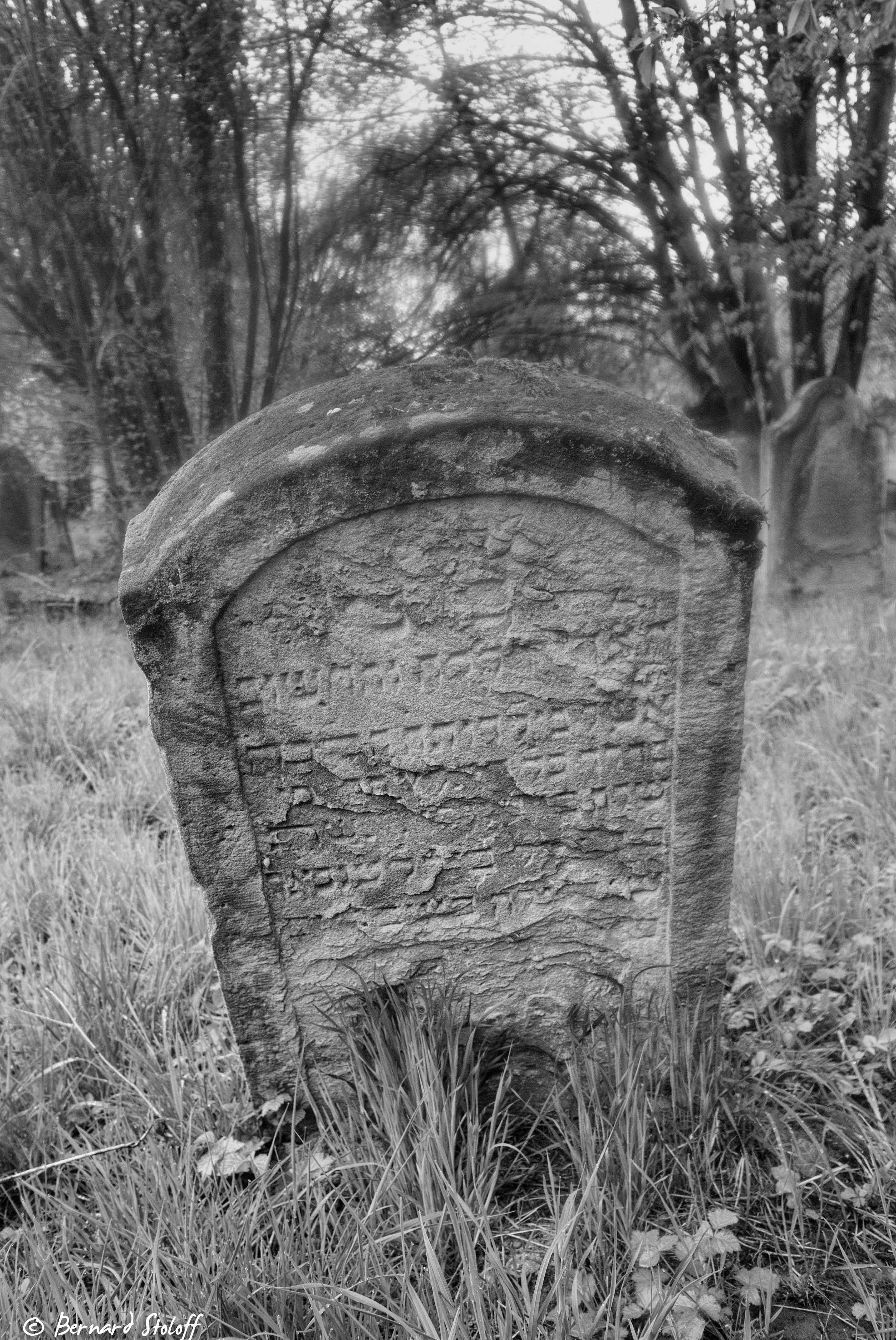 JEWISH CEMETERY IN WISSEMBOURG-FRANCE-WHERE MY FORE-GRAND PARENTS ARE RESTING.