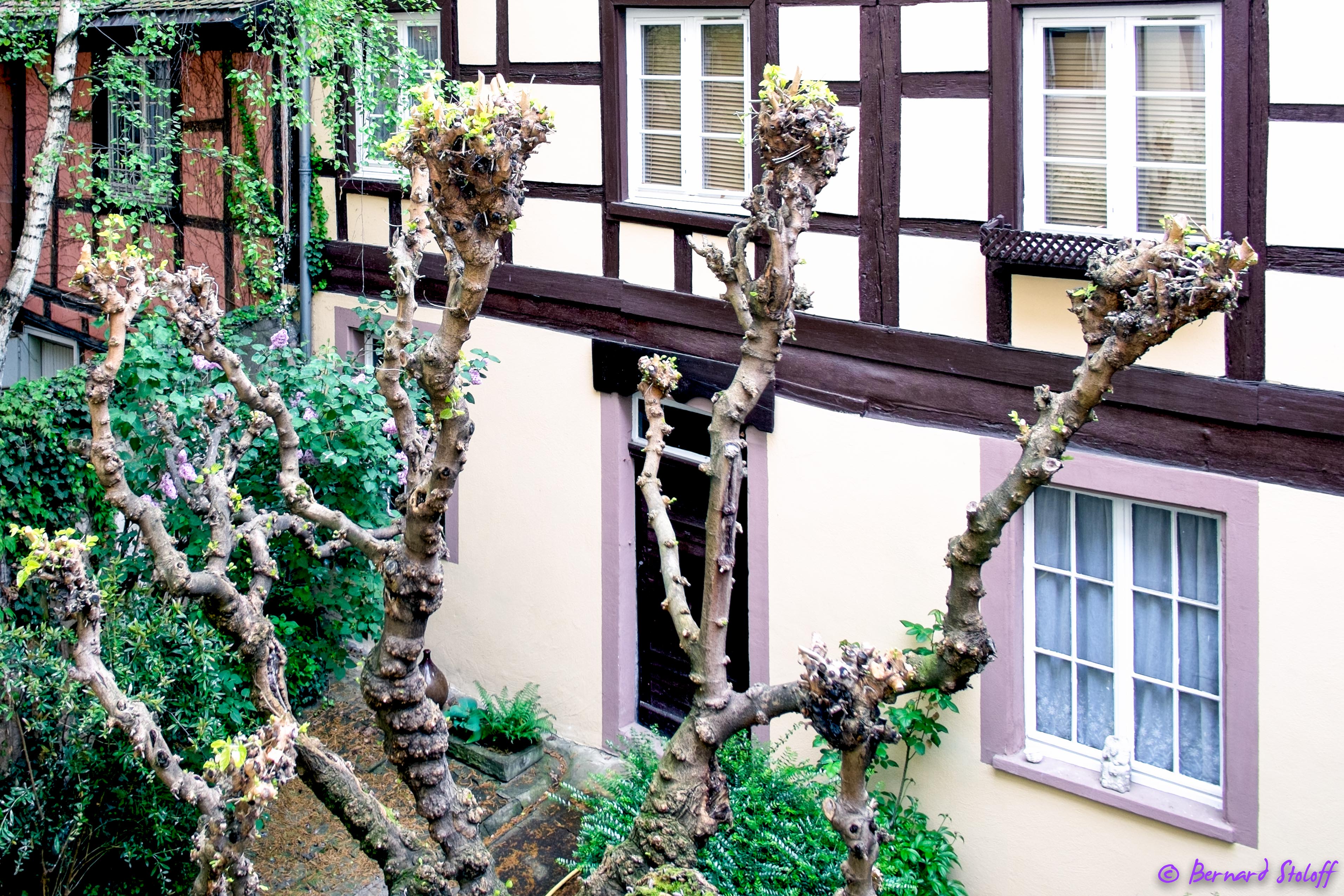 STRASBOURG, QUARTIER CATHÉDRALE, MULBERRY GARDENS